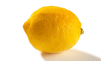 Zutaten Bild: Bio Zitrone