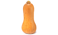 Zutaten Bild: Butternut Krbis