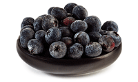 Zutaten Bild: Heidelbeeren