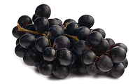 Zutaten Bild: Blaue Wein Trauben