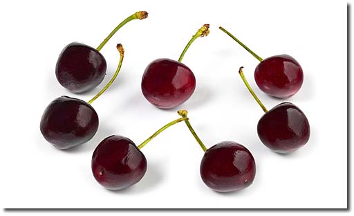 Frische Kirschen