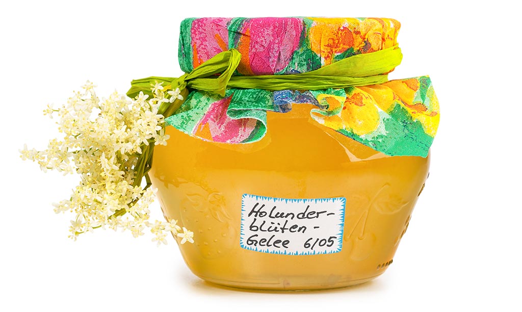 Holunder Blüten Gelee Druckversion vom Holunder Blüten Gelee Rezept