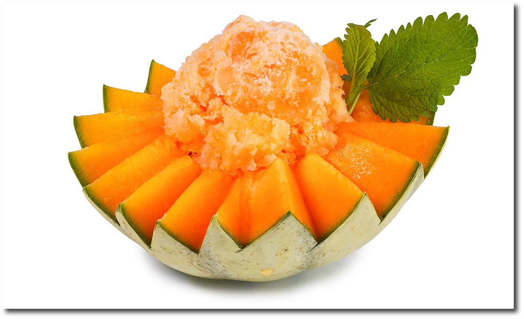 Melonen Sorbet