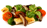Shiitake Pilze auf Feld Salat mit Tofu