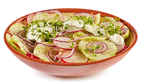 Gurken Radieschen Salat Rezept